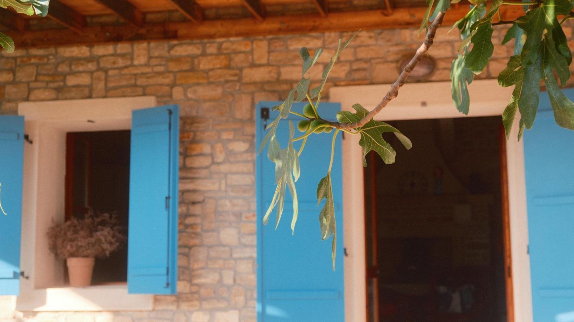 Kamena Kuca Mamma Mia Villa Sukošan Exterior foto